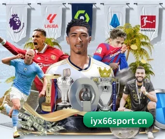 爱游戏体育66sport APP